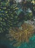 PW Stoff Unterwasserwelt 110 cm breit